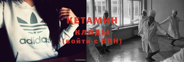 гидра Абаза