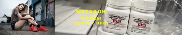 гидра Абаза