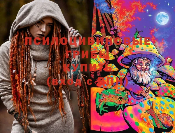 тгк Нея