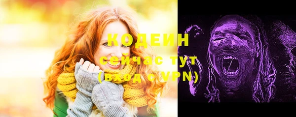 гидра Абаза