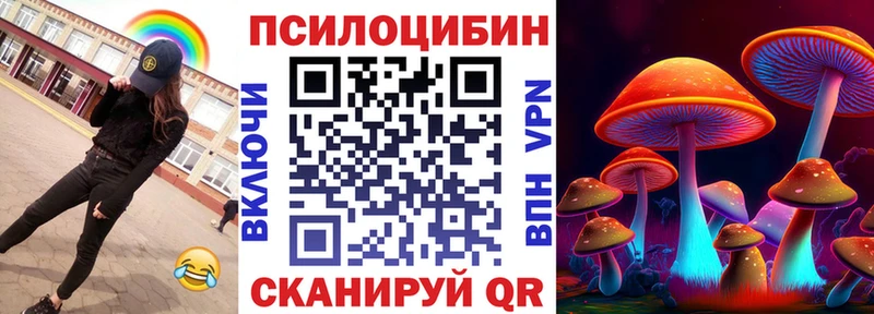 ссылка на мегу tor Сальск Галлюциногенные грибы Psilocybe наркошоп