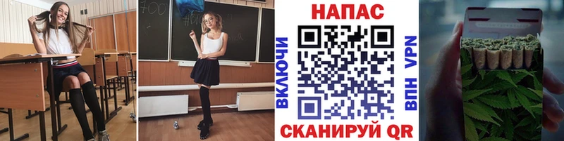 Бошки марихуана сатива Сальск